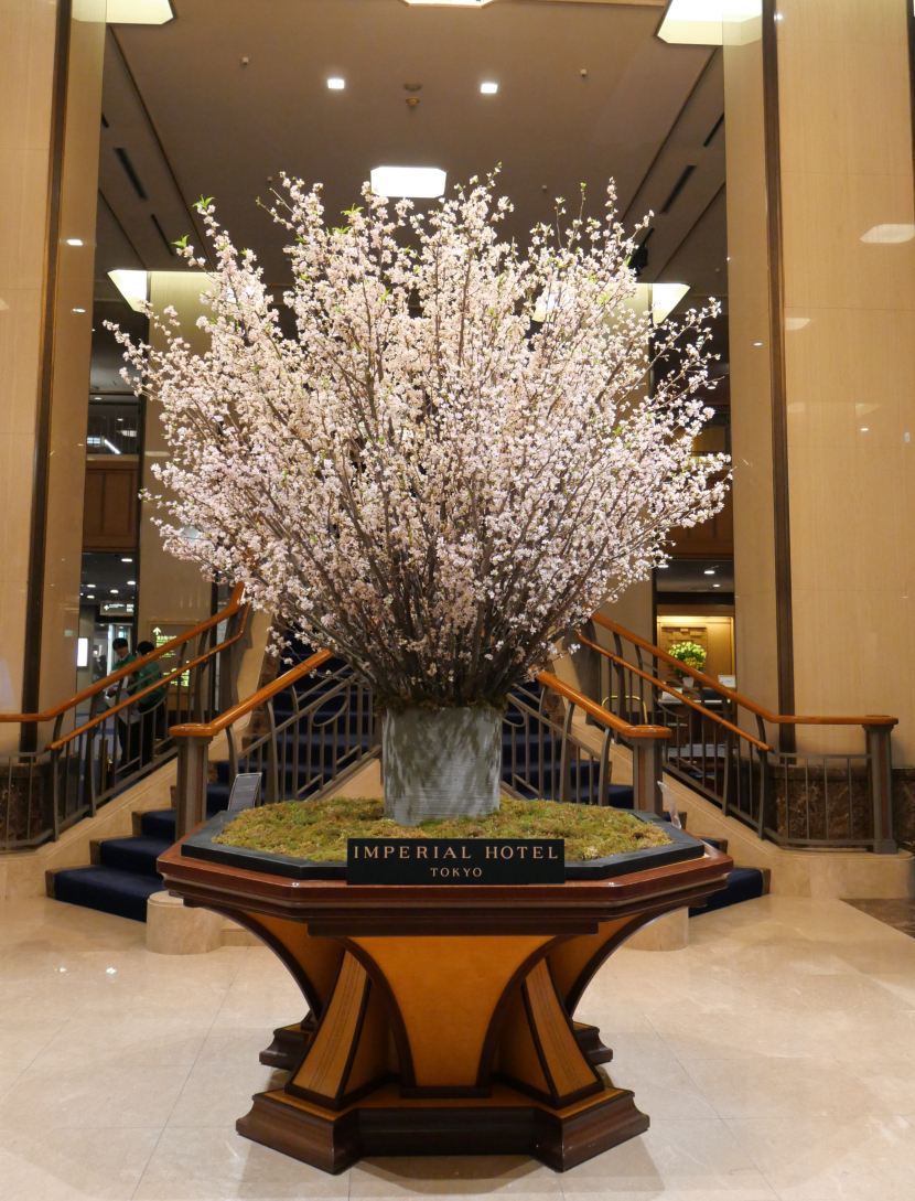 帝国ホテル ロビー装花が桜に。春の訪れを感じるひととき
